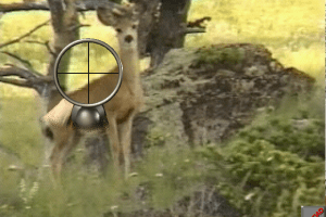 Cabela's Big Game Hunter III: The Next Harvest 12