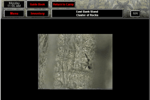 Cabela's Big Game Hunter 4