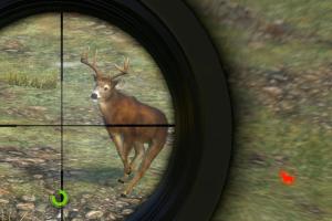 Cabela's Outdoor Adventures 5