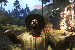 Call of Juarez 11