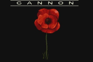 Cannon Fodder 0