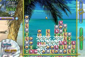 Caribbean Puzzle 3