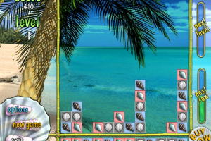 Caribbean Puzzle 5