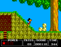Castle of Illusion starring Mickey Mouse 9