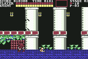 Castlevania 8