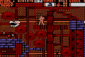 Castlevania 20