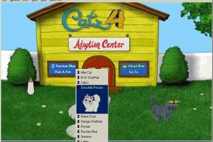 Catz 4 3