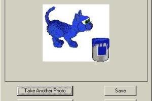Catz 4 8