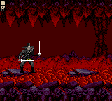 Chakan abandonware