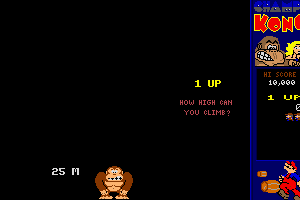 CHAMP Kong 5