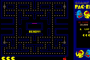 CHAMP Pac-em 4
