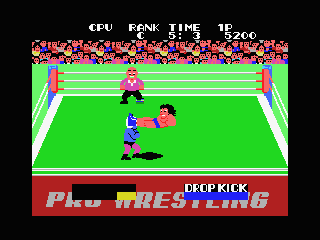 Champion Pro Wrestling abandonware