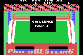 Champion Pro Wrestling 2