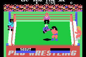Champion Pro Wrestling 4