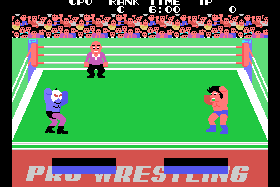 Champion Pro Wrestling 2