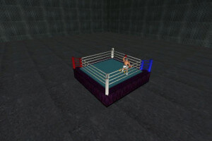 Championship Boxing 6