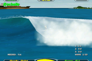 Championship Surfer 19