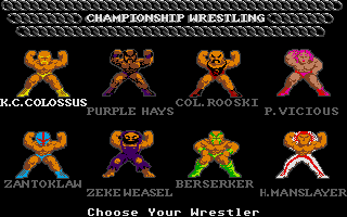 Championship Wrestling abandonware