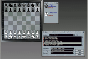 Chessmaster 6000 4