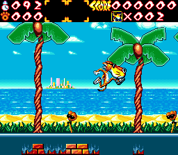 Chester Cheetah: Wild Wild Quest abandonware