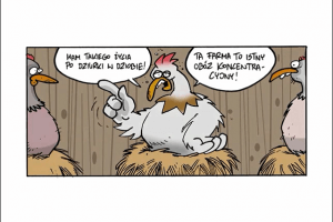 Chicken Raid 1