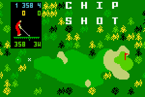 Chip Shot: Super Pro Golf 0