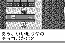 Chocobo no Fushigi na Dungeon 13