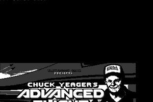 Chuck Yeager's Advanced Flight Simulator 12