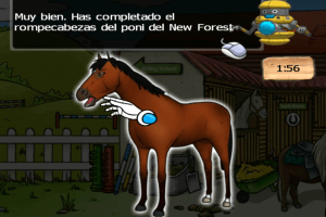 Clever Kids: Pony World 4