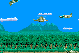 Cobra Command 10