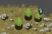 Colin McRae Rally 04 7