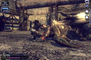 Collapse: The Rage 15