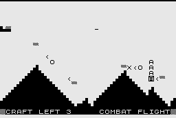 Combat Flight 2