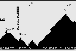 Combat Flight 4