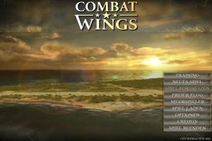 Combat Wings 0