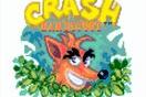 Crash Bandicoot 0