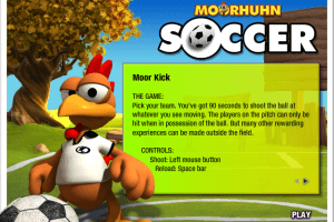Crazy Chicken: Soccer 6