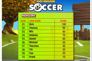 Crazy Chicken: Soccer 7