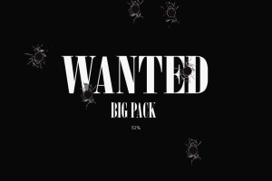 Crazy Chicken: Wanted 0