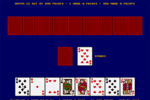 Crazy Eights (1992) abandonware