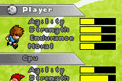 Crazy Football 2006 2