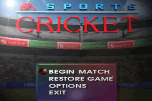 Cricket 96 abandonware