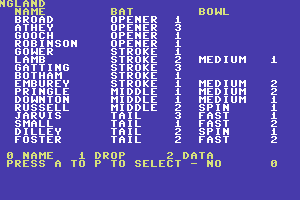 Cricket Master 1