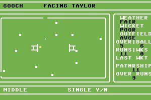 Cricket Master 5