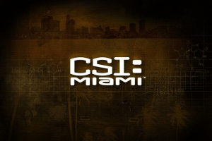 CSI: Miami 22
