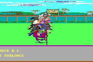 Daily Double Horse Racing 5