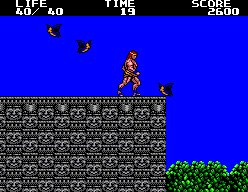 Download Danan the Jungle Fighter (SEGA Master System) - My Abandonware