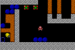 Dangerous Dungeons 5