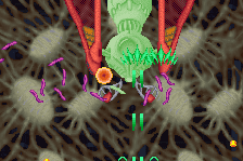 Dangerous Seed 10
