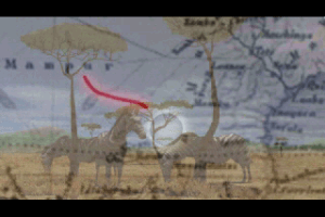 Dark Secrets of Africa 17